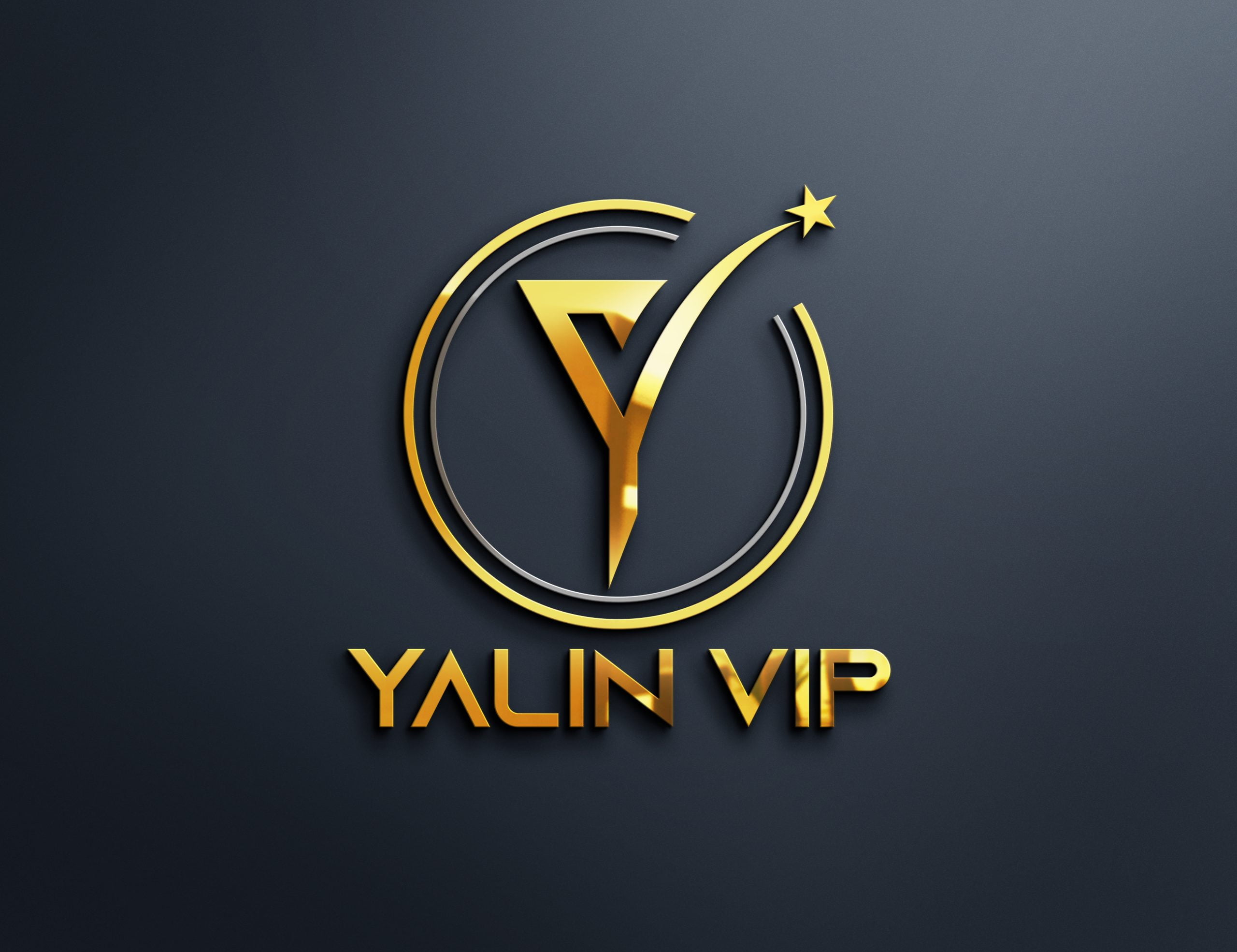 Yalın VIP Turizm